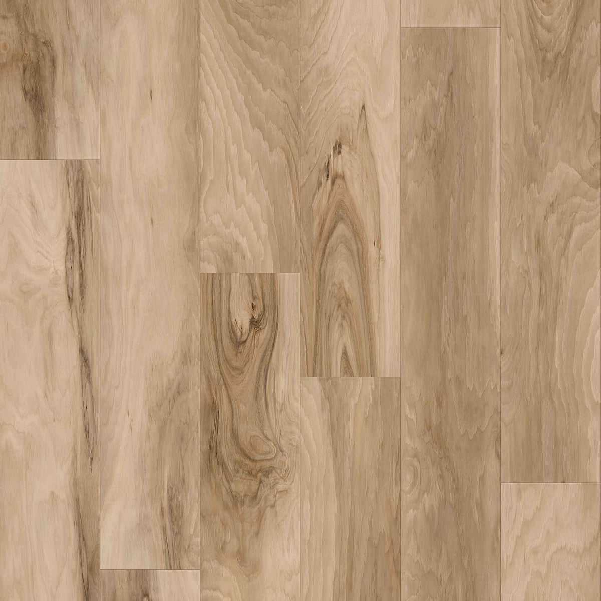 Plancher stratifié Relief Waterberg, 12,3 mm (20,4 pi2)